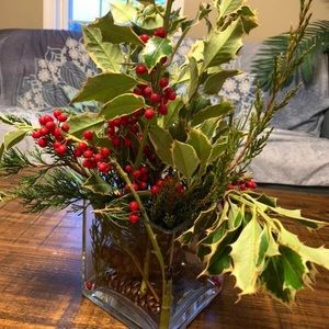 Meet your Posher, Mengyang